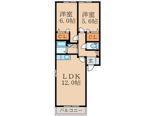 メゾンエムロード　F棟の物件間取画像